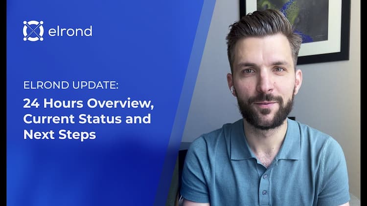 Elrond Update - 24 Hours Overview, Current Status and Next Steps