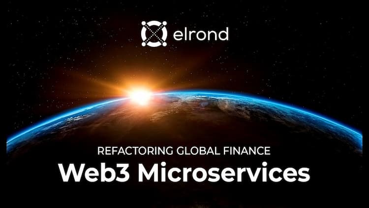 #3. Elrond Developers Guide: Build your first Microservice